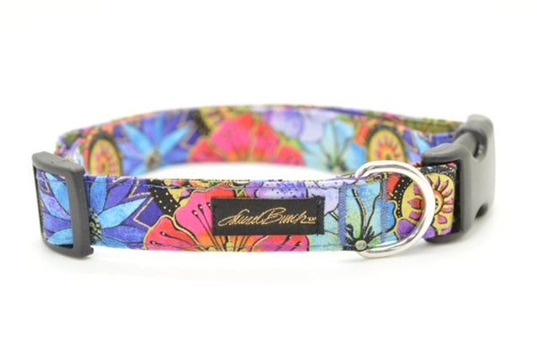 Dog Collars